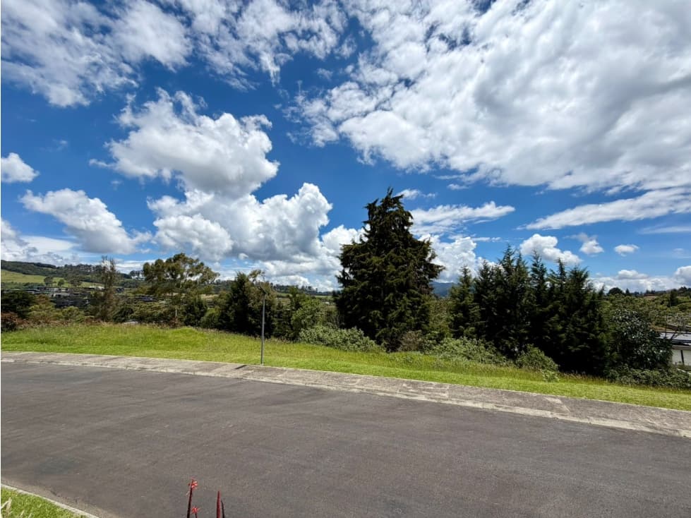 Lote Venta - Palmas — foto 5