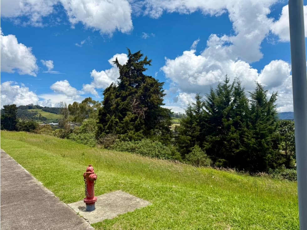 Lote Venta - Palmas — foto 6