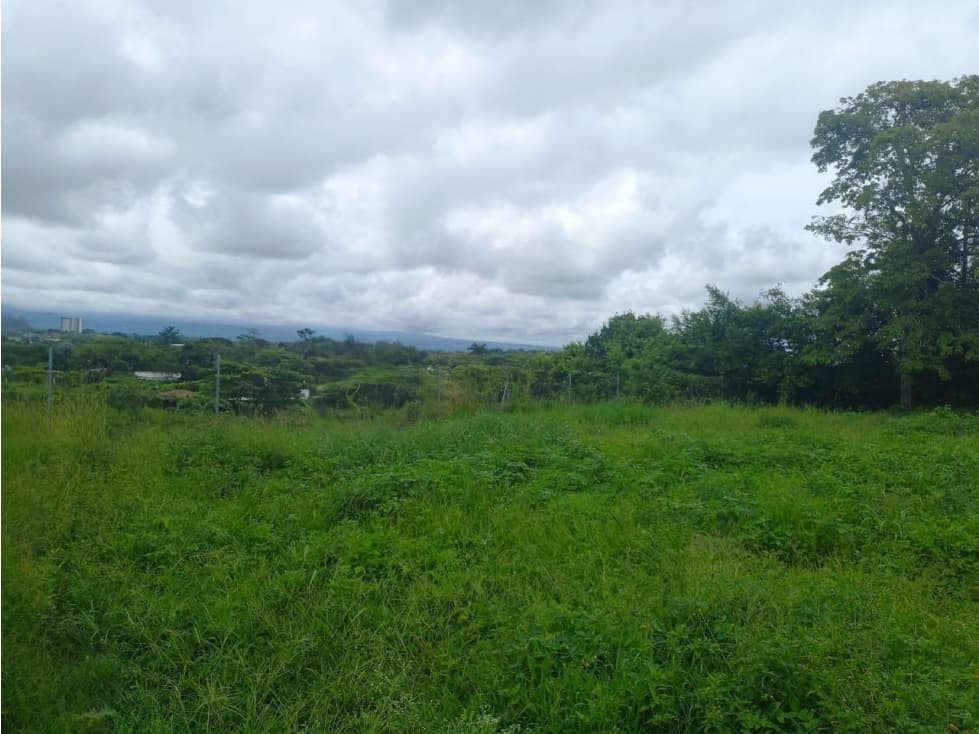 Lote comercial sobre vía principal en cerritos — foto 1