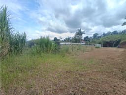 Lote en venta condina