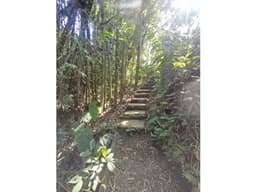 Lote campestre en venta Condina Pereira