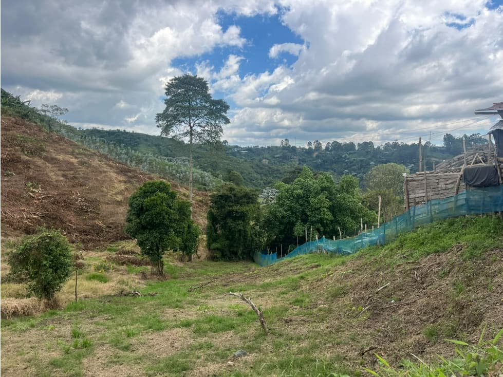 Lote en venta en La Bella, Pereira — foto 1