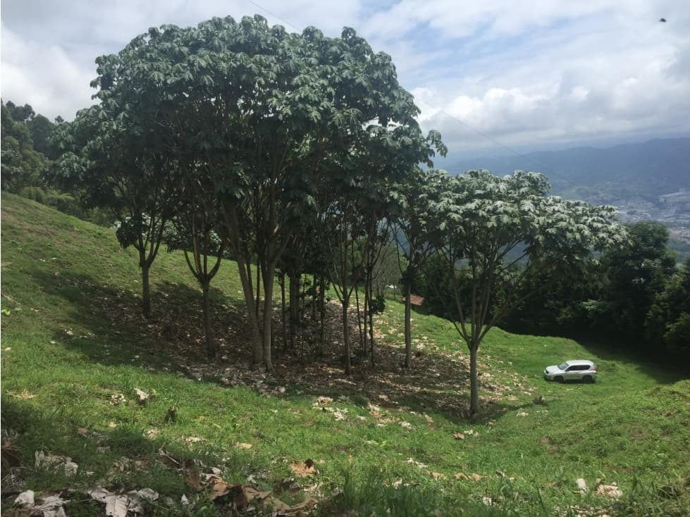Lote en venta Los Nieblos Pereira — foto 4
