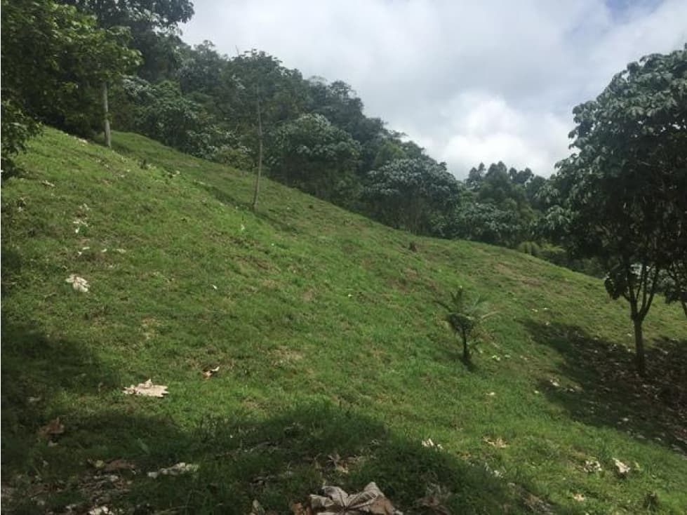 Lote en venta Los Nieblos Pereira — foto 5