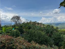 Venta de lote en vía El Trébol - Chinchiná