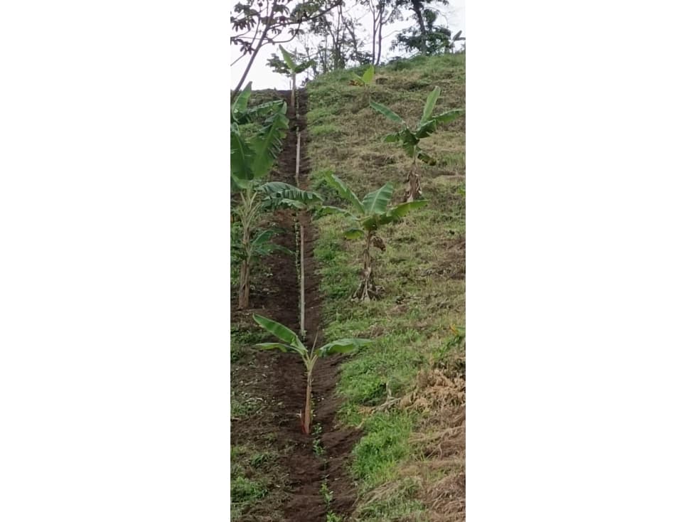 Venta de lote en Quiebra de Santa Barbara — foto 5