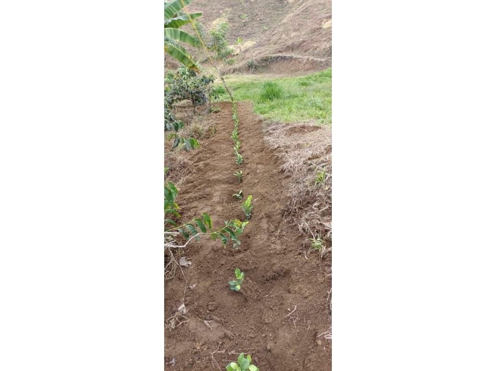 Venta de lote en Quiebra de Santa Barbara — foto 3