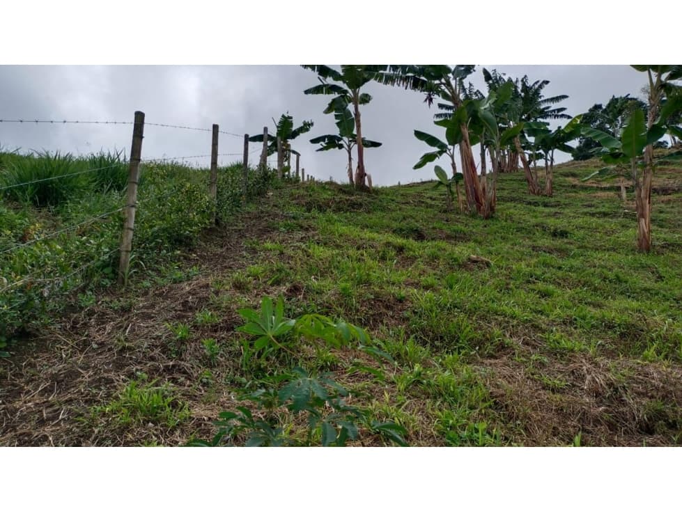 Venta de lote en Quiebra de Santa Barbara — foto 6