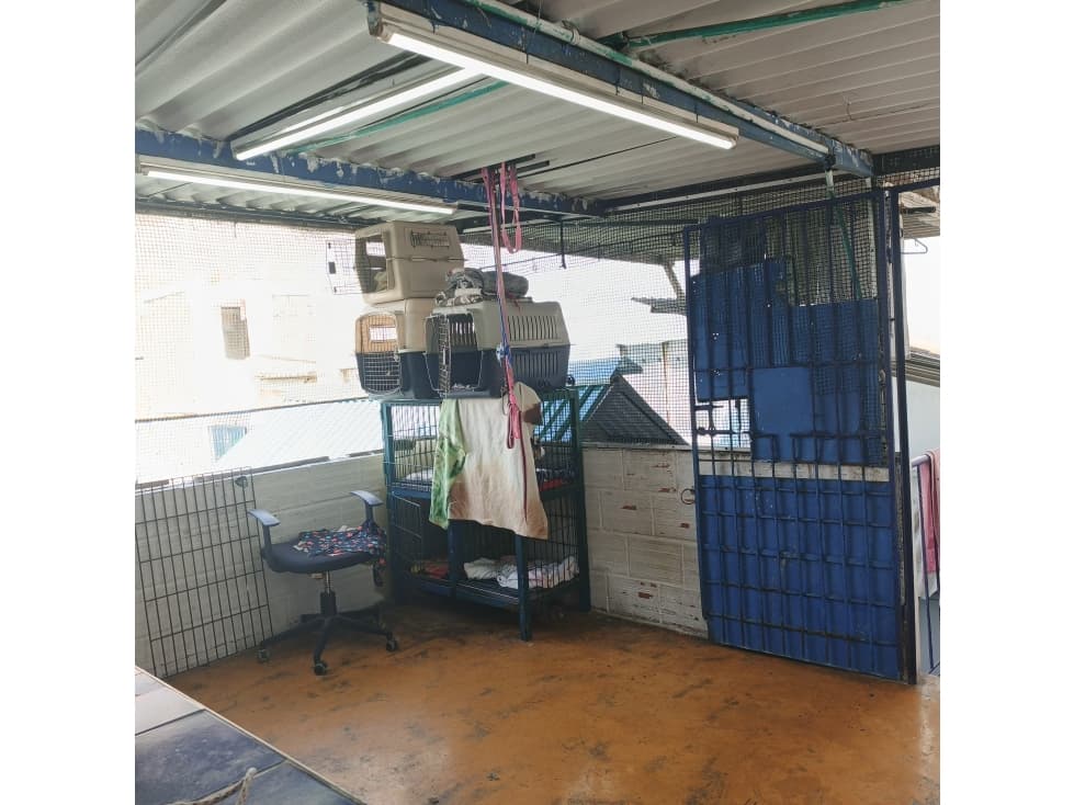 Venta de casa con renta en San Antonio — foto 5