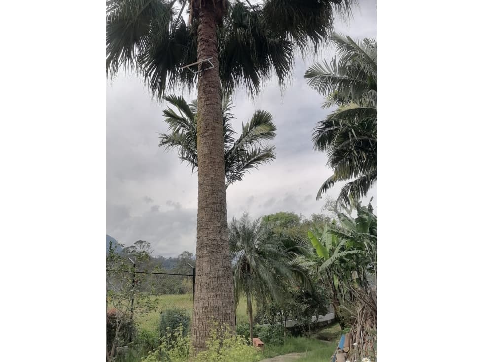 CASA EN VENTA TENA CUNDINAMARCA 170M² — foto 4