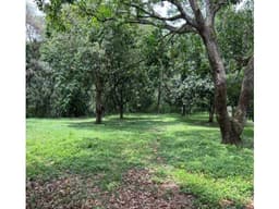 LOTE PARA LA VENTA EN EL MUNICIPIO DE SOPETRAN, EN PARCELACIÓN