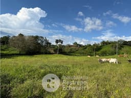 Lote en venta, La Cabaña, Manizales