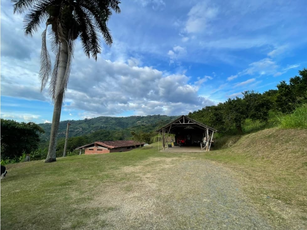 Espectacular Finca en Venta Lisboa — foto 3