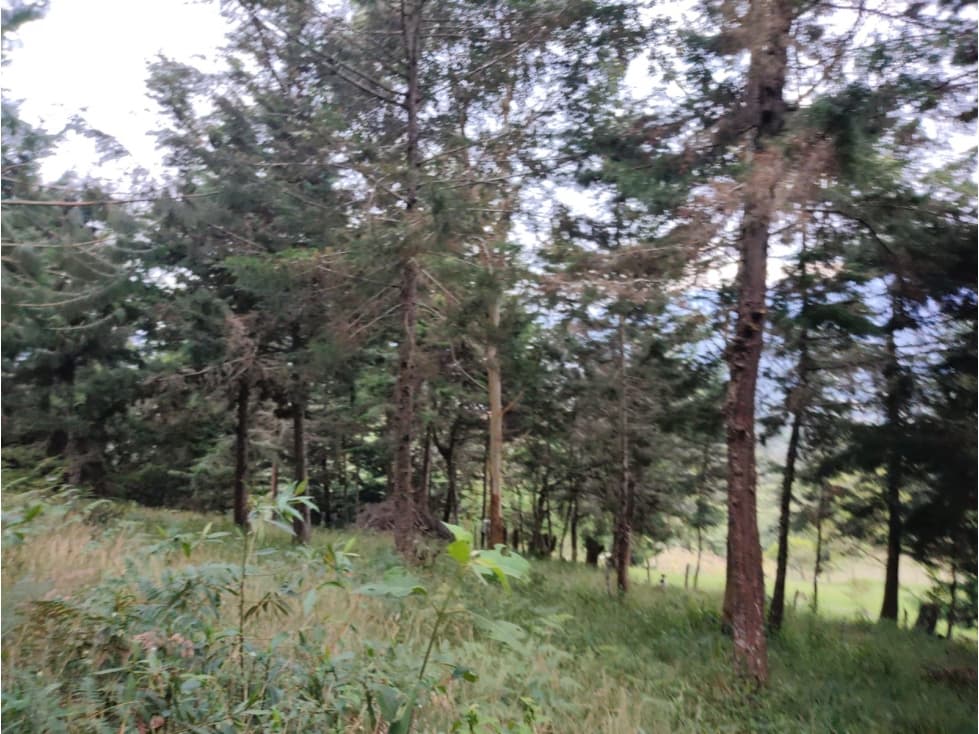 Venta de lote independiente en Rionegro — foto 3