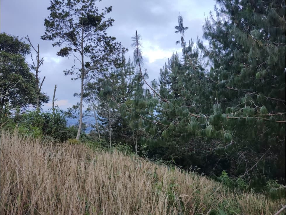 Venta de lote independiente en Rionegro — foto 1