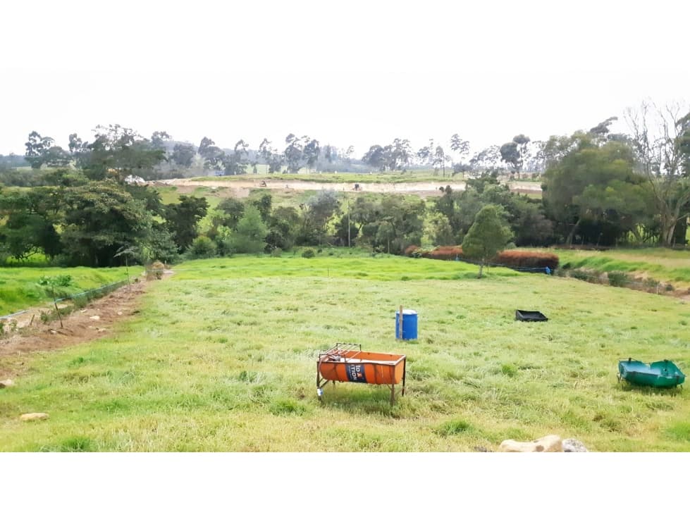 Lote en Venta Alto de Palmas, Envigado — foto 4