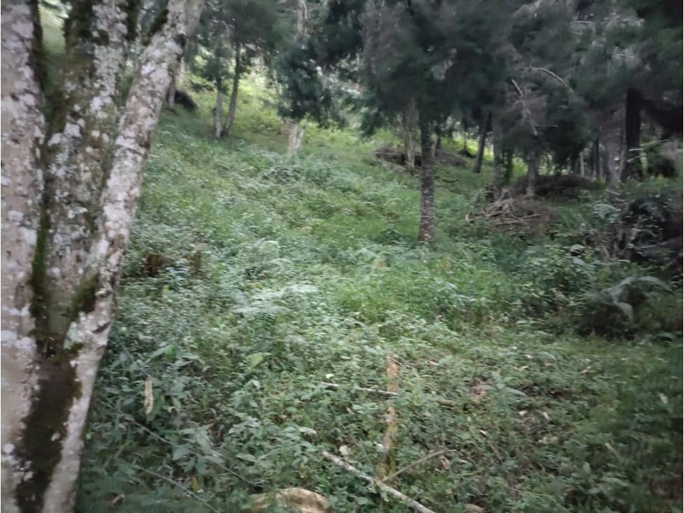 Venta de lote independiente en Rionegro — foto 4