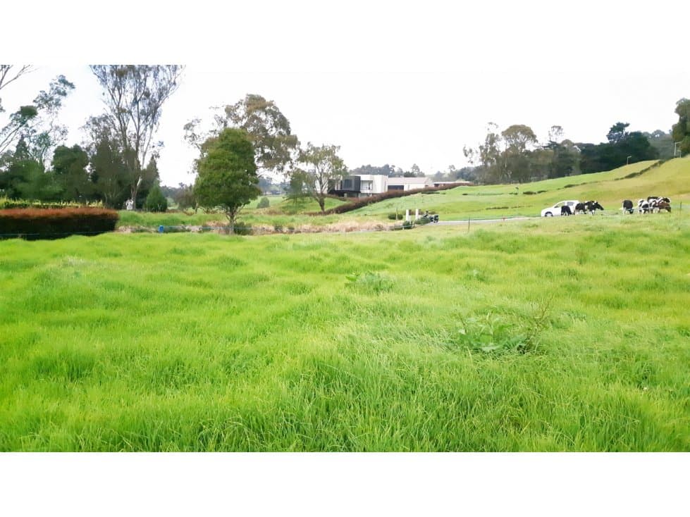 Lote en Venta Alto de Palmas, Envigado — foto 1