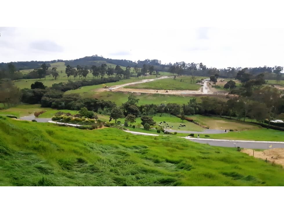 Lote en Venta Alto de Palmas, Envigado — foto 6