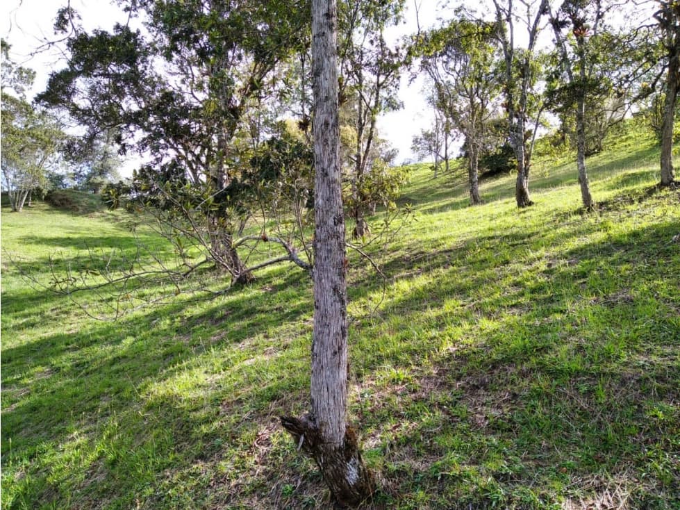 Venta de lote en Loma de El Escobero — foto 6