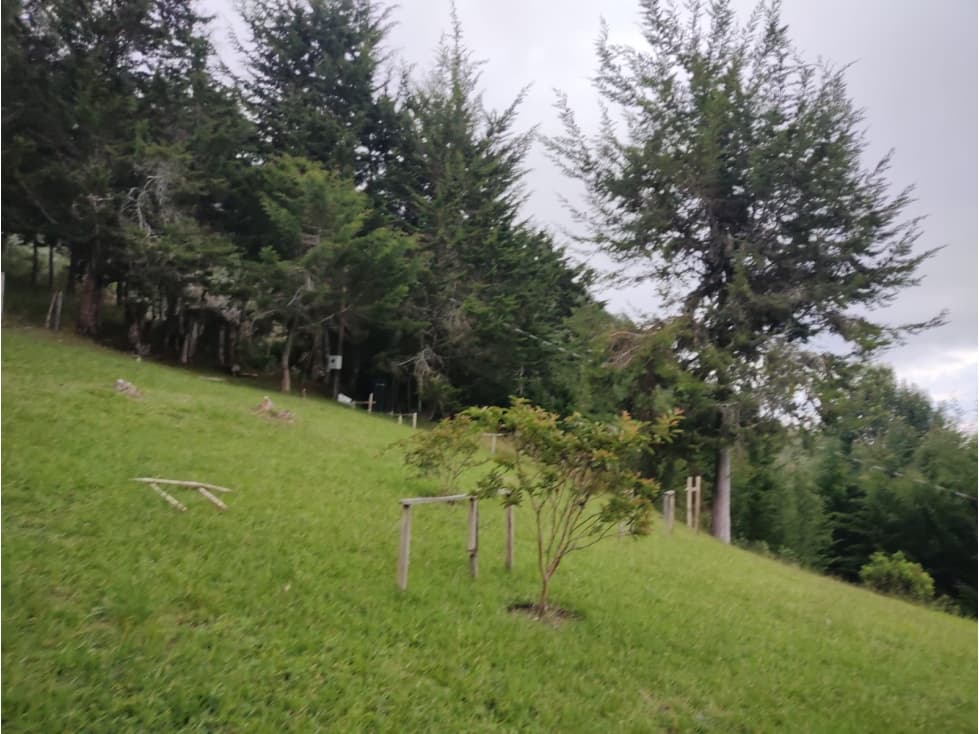 Venta de lote independiente en Rionegro — foto 2