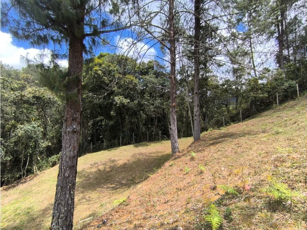 VENTA DE LOTE EN ENVIGADO- LOMA DEL ESCOBERO  — foto 2