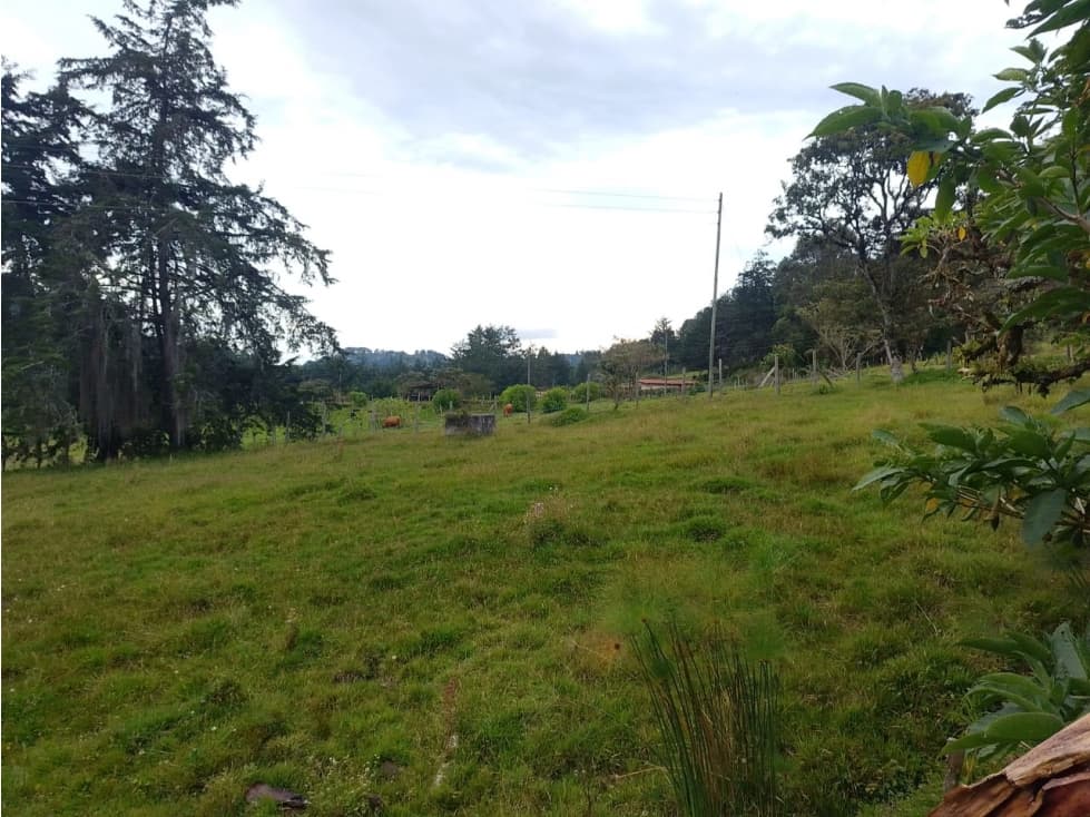VENTA DE FINCA RIONEGRO — foto 6