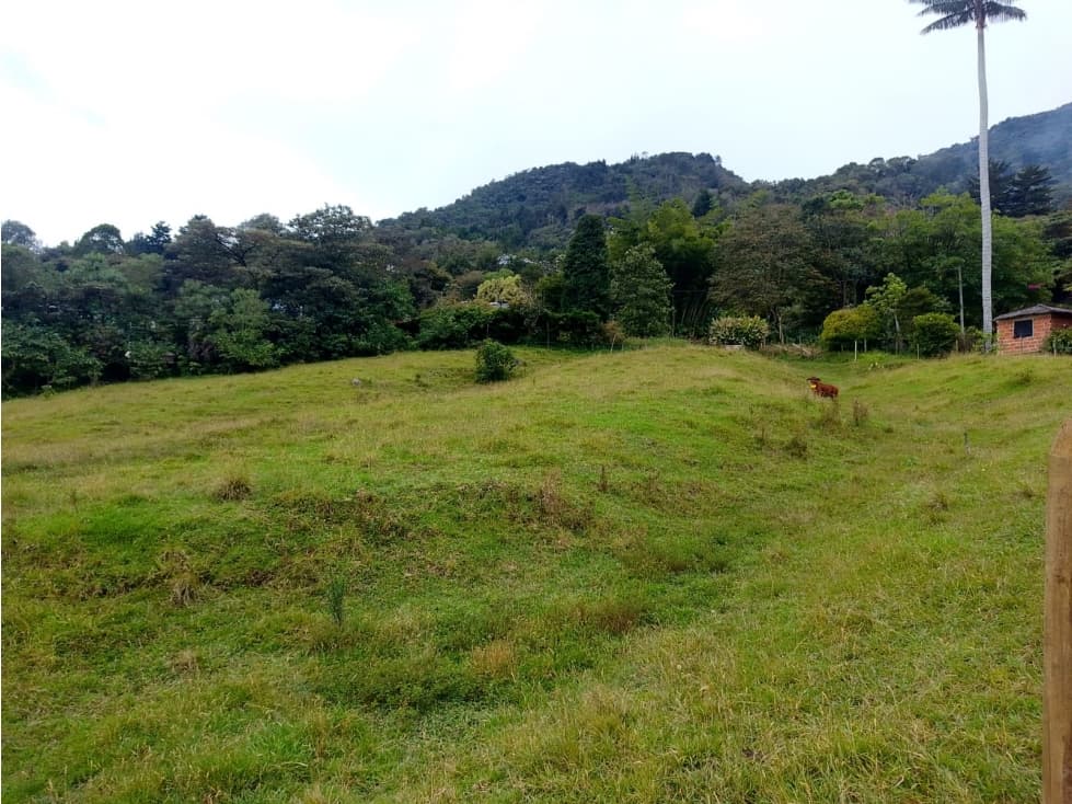 VENTA DE FINCA RIONEGRO — foto 2