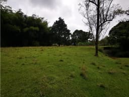 Venta Lote comercial para cultivo de flores vereda chachafruto