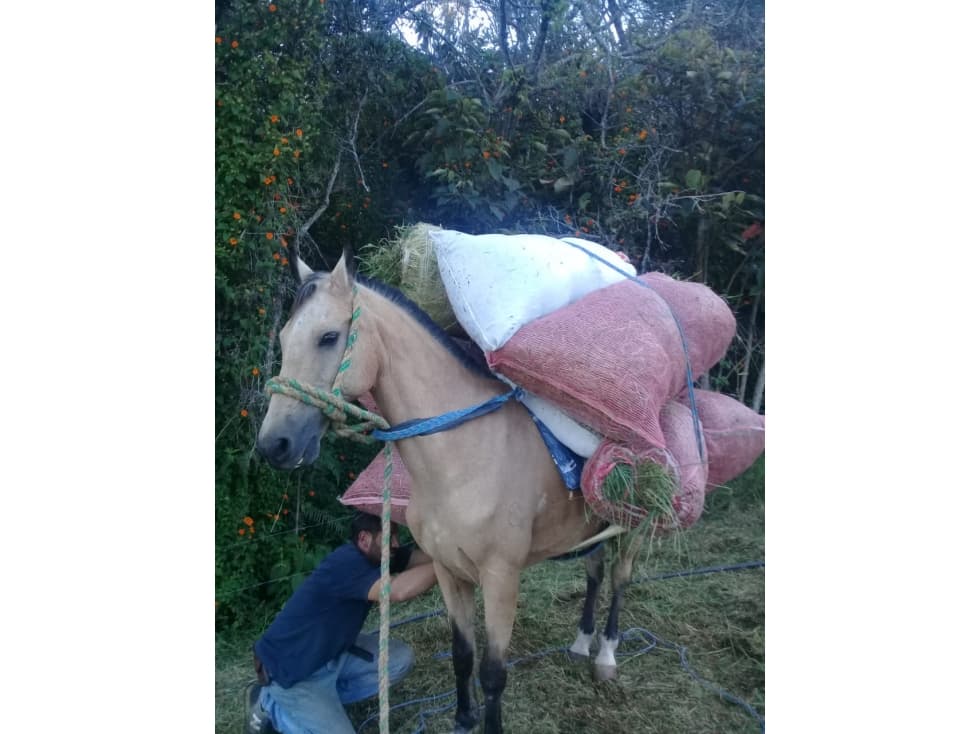 Lote en Rionegro - Venta — foto 4