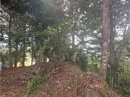 L0316. VENDO! Lote en parcelación para entrega inmediata del Retiro