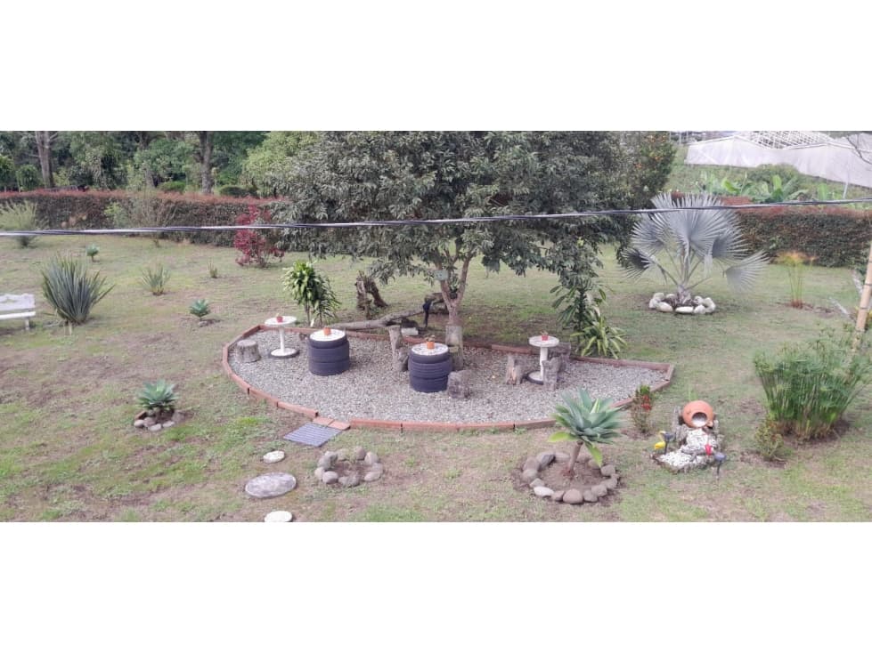 FINCA EN VENTA VIA CIRCASIA — foto 5