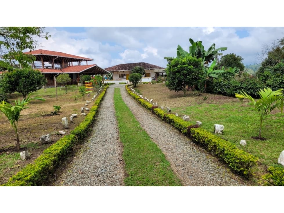 FINCA EN VENTA VIA CIRCASIA — foto 6