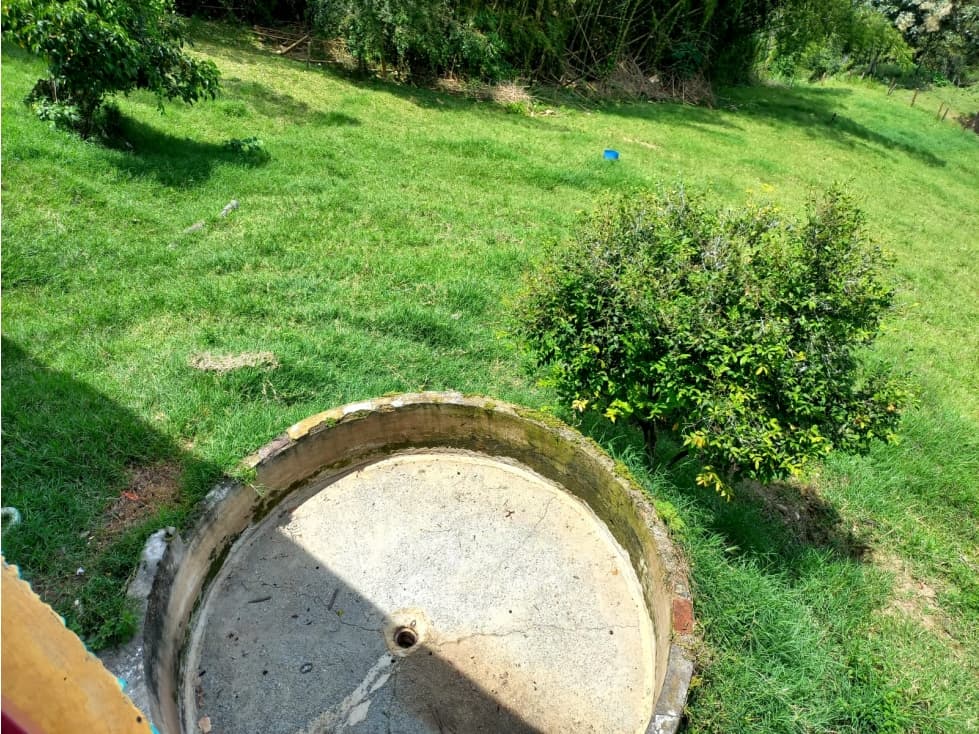 FINCA GENOVA QUINDIO — foto 5