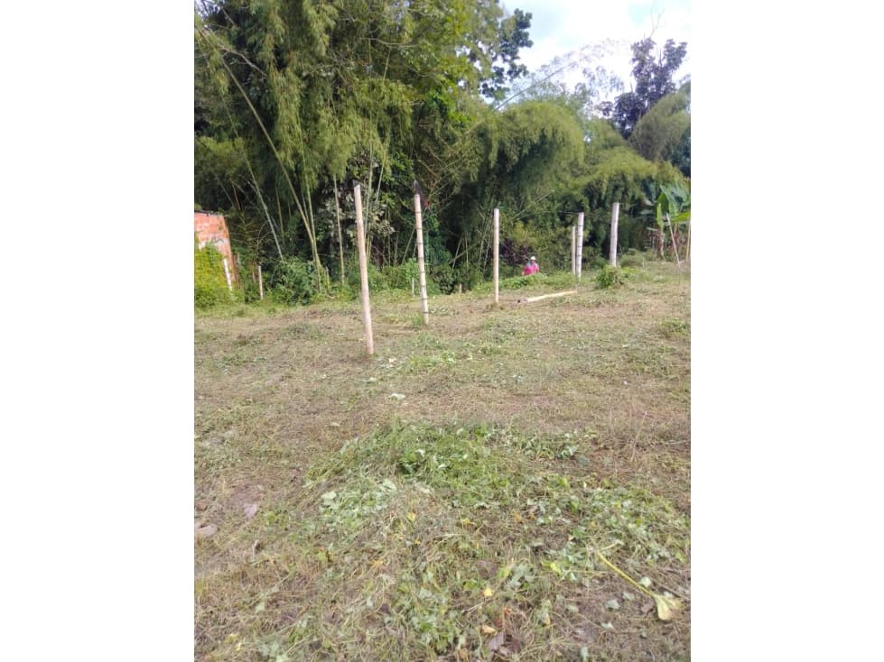 LOTE EN VENTA - VIA AL VALLE 3207746921 — foto 6