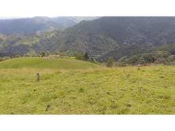 SE VENDE FINCA EN MANIZALES CALDAS COLOMBIA