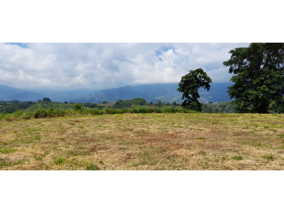 Venta Lote Sur Armenia Quindio - Colombia COD: 4233126 — foto 2