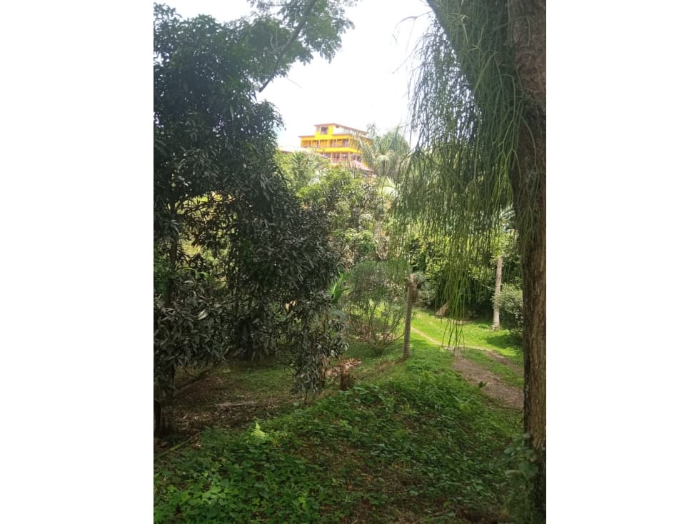 Venta Chalet La Tebaida Quindío (COL) COD: 4458183 — foto 3