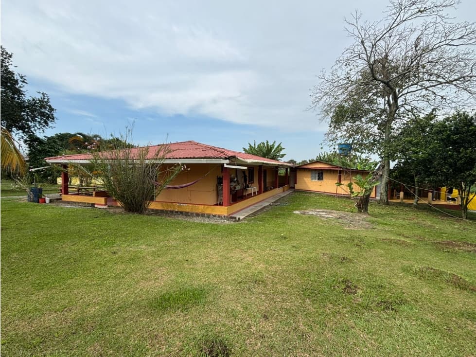Venta Finca sur Armenia Quindío - COL. COD: 9887713 — foto 3