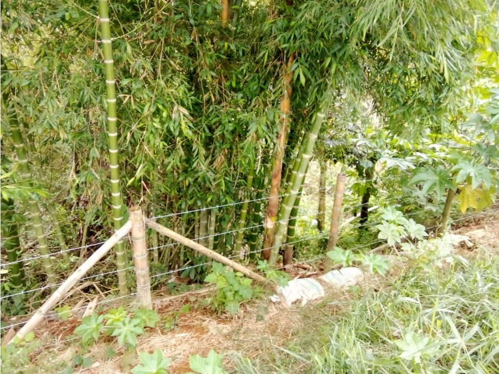 LUXA VENDE LOTE PARCELA VEREDA LA REJOYA POPAYAN — foto 4