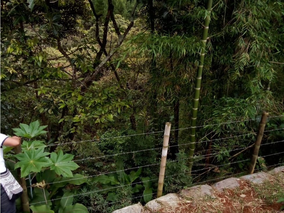 LUXA VENDE LOTE PARCELA VEREDA LA REJOYA POPAYAN — foto 6
