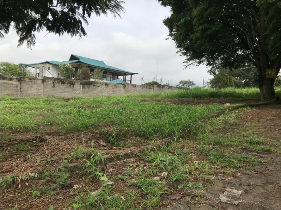 SE VENDE LOTE EN PANCE — foto 1