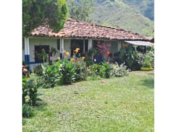 FINCA PRODUCTIVA EN VENTA EN PEREIRA CULTIVO AGUACATE, LIMON.Y PLATANO