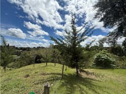Lote en venta en Rionegro - El Carmen de Viboral