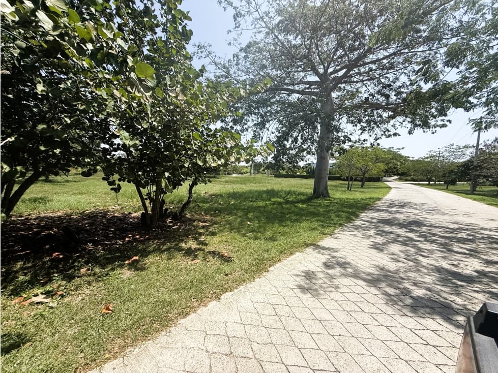 Venta lote CARTAGENA - Isla BARU — foto 4