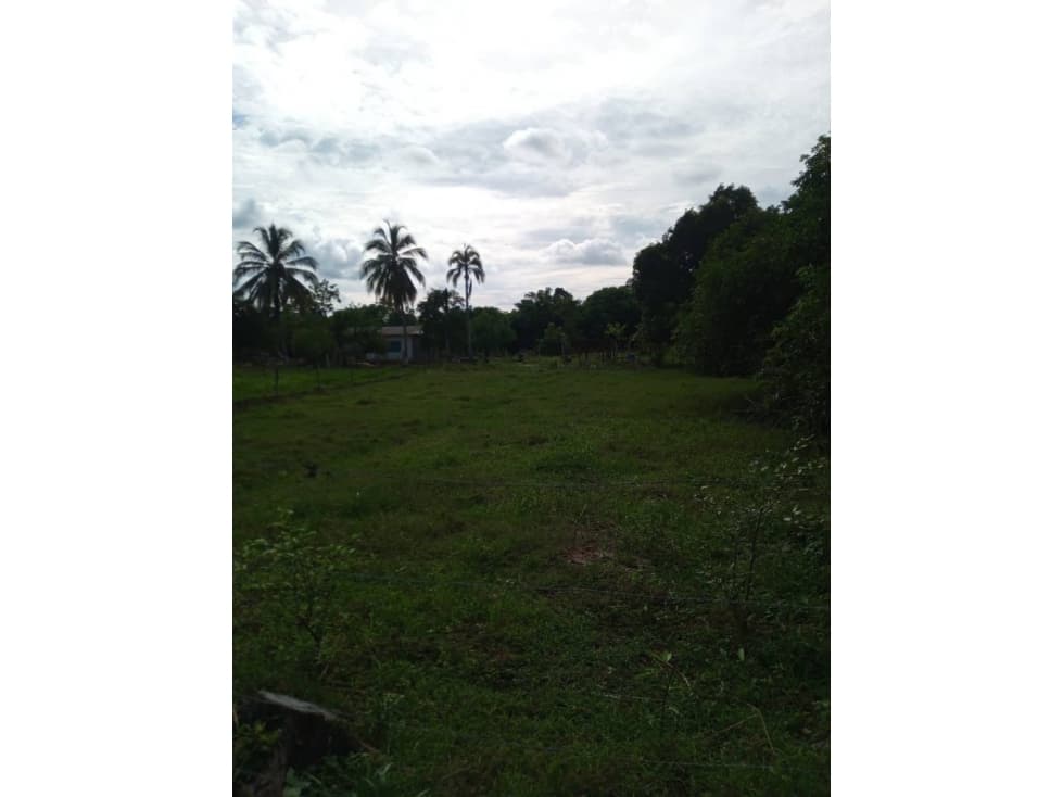 LOTE EN VENTA SECTOR EL FARO 4 MONTERIA — foto 1
