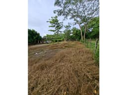 VENDO LOTE COMPESTRE MONTERIA VIA PLANETA RICA