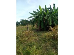 EN VENTA LOTE EN EL BARRIO CALIFORNIA MONTERÍA CÓRDOBA COLOMBIA