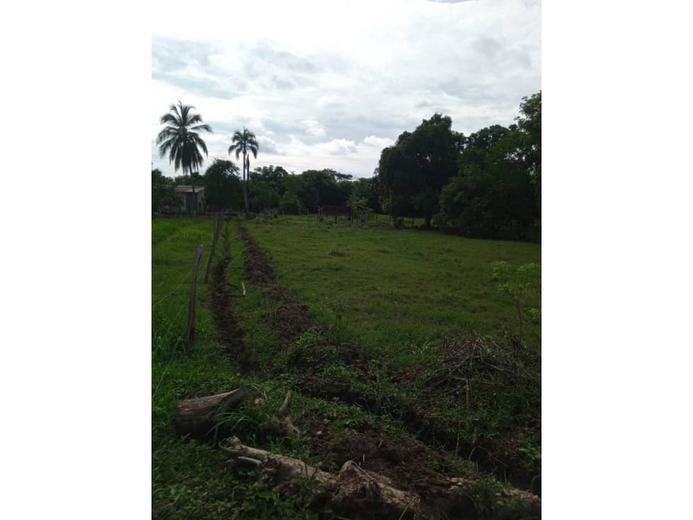 LOTE EN VENTA SECTOR EL FARO 4 MONTERIA — foto 2