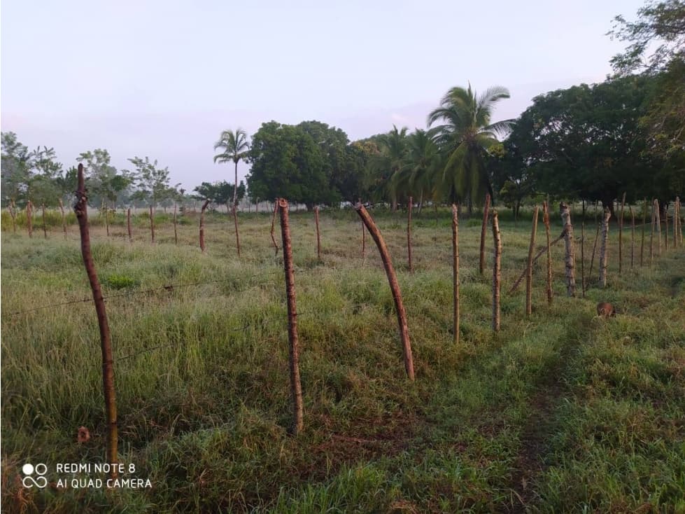 LOTE EN VENTA SECTOR EL FARO 4 MONTERIA — foto 3